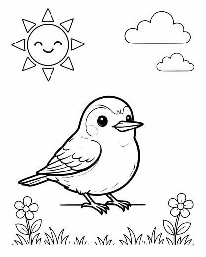 100 Bird Coloring Pages for Kids | Printable PDF Activity Book | Summer Fun Learning