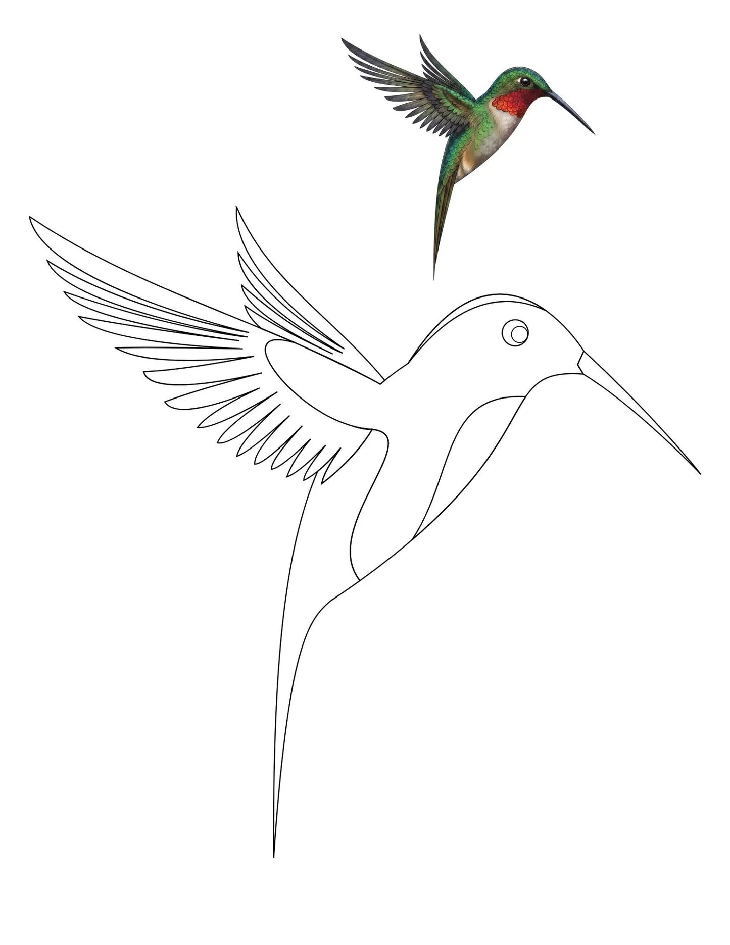 50 Bird Coloring Pages for Kids | Printable Bird Coloring Book | Learning Worksheets
