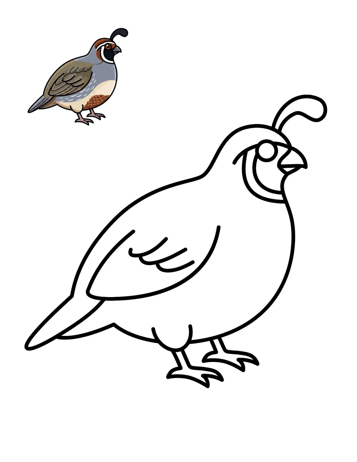 50 Bird Coloring Pages for Kids | Printable Bird Coloring Book | Learning Worksheets