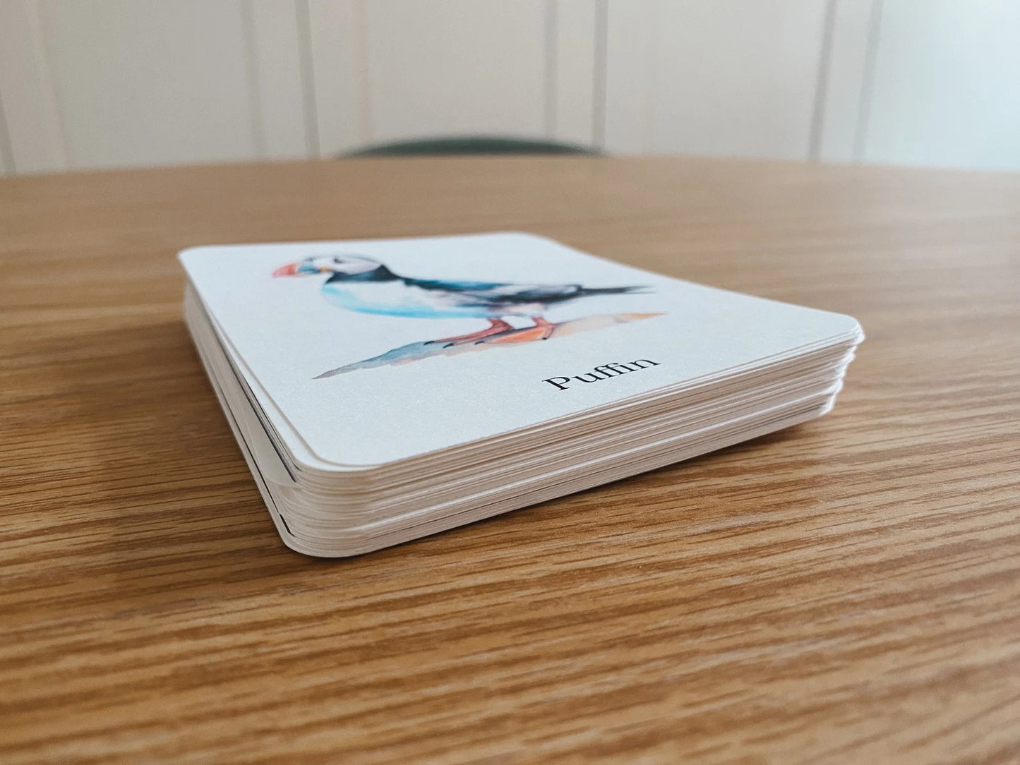 56 Bird Species Flashcards for Kids | Printable Bird Learning Cards