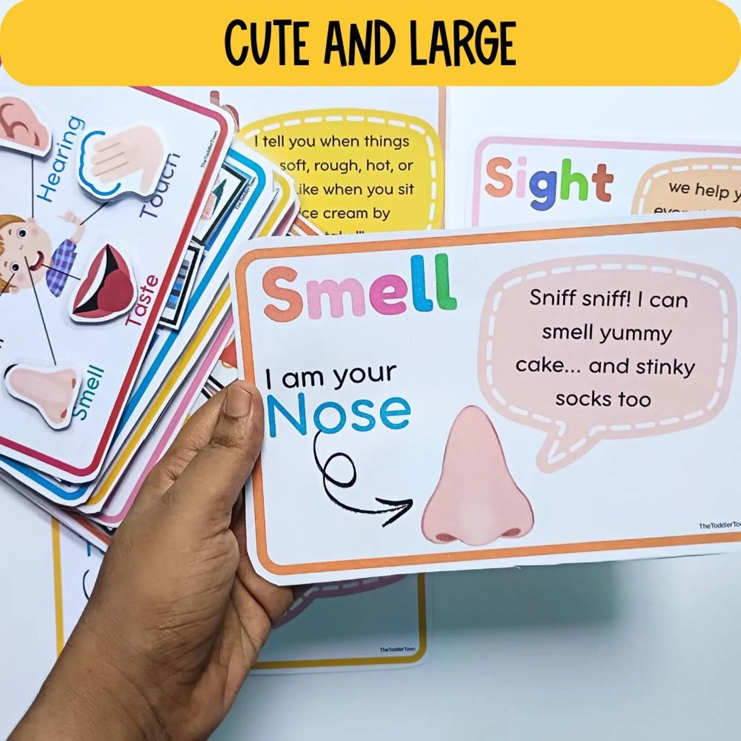 5 Senses Preschool Printable Bundle | Preschool Science Activities | Sense Organs Worksheets, Matching, Sorting, Flashcards & Checklists | Busy Binder | Homeschool Kindergarten PDF