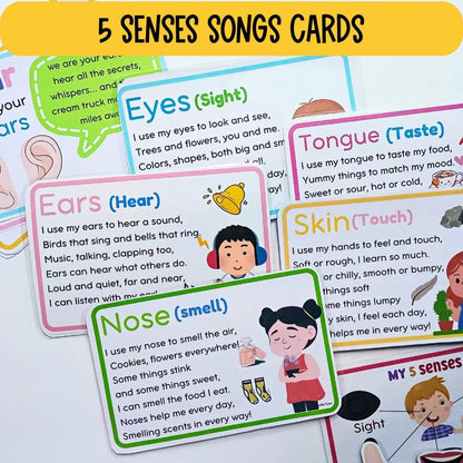5 Senses Preschool Printable Bundle | Preschool Science Activities | Sense Organs Worksheets, Matching, Sorting, Flashcards & Checklists | Busy Binder | Homeschool Kindergarten PDF