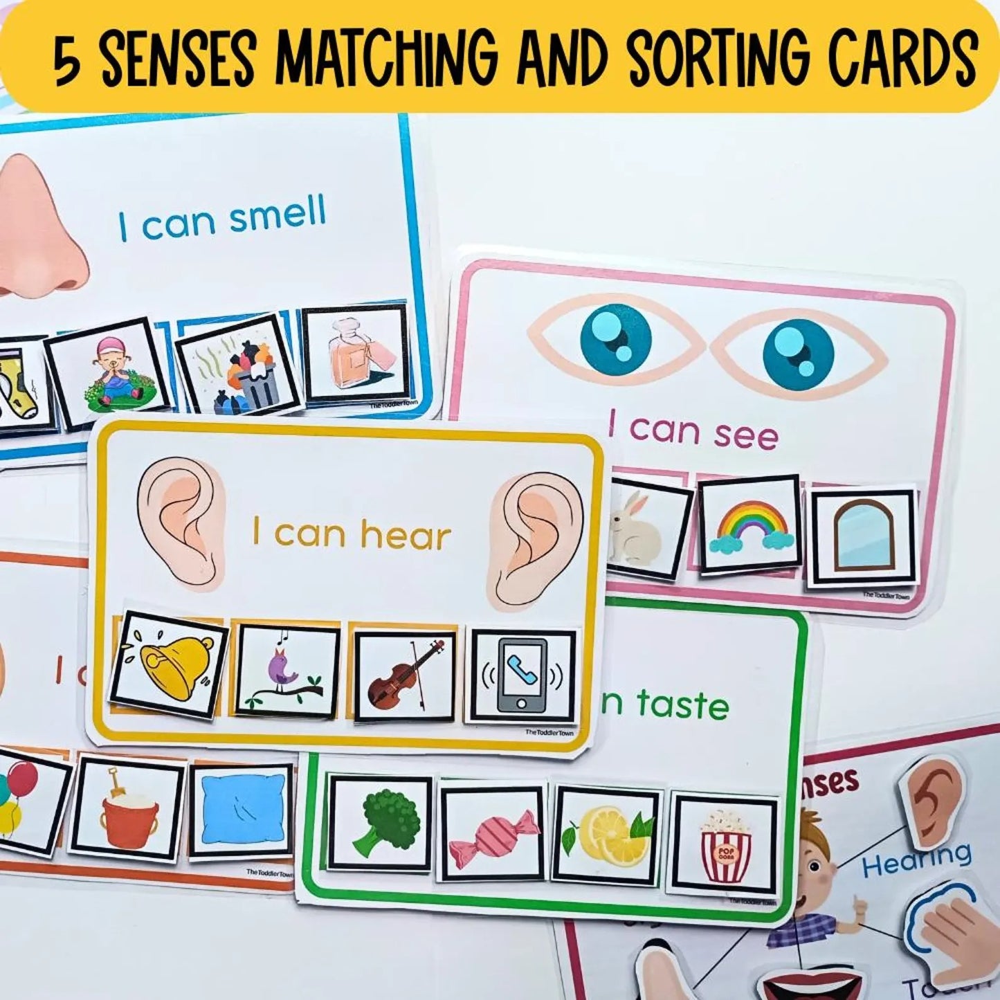 5 Senses Preschool Printable Bundle | Preschool Science Activities | Sense Organs Worksheets, Matching, Sorting, Flashcards & Checklists | Busy Binder | Homeschool Kindergarten PDF