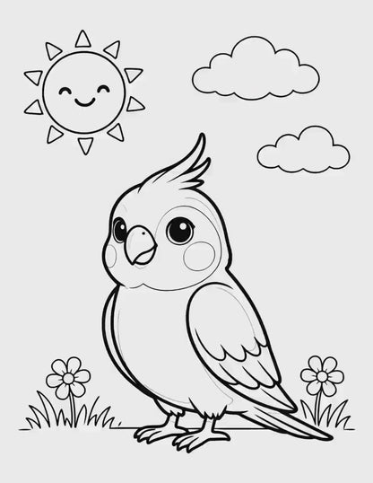 100 Bird Coloring Pages for Kids | Printable PDF Activity Book | Summer Fun Learning