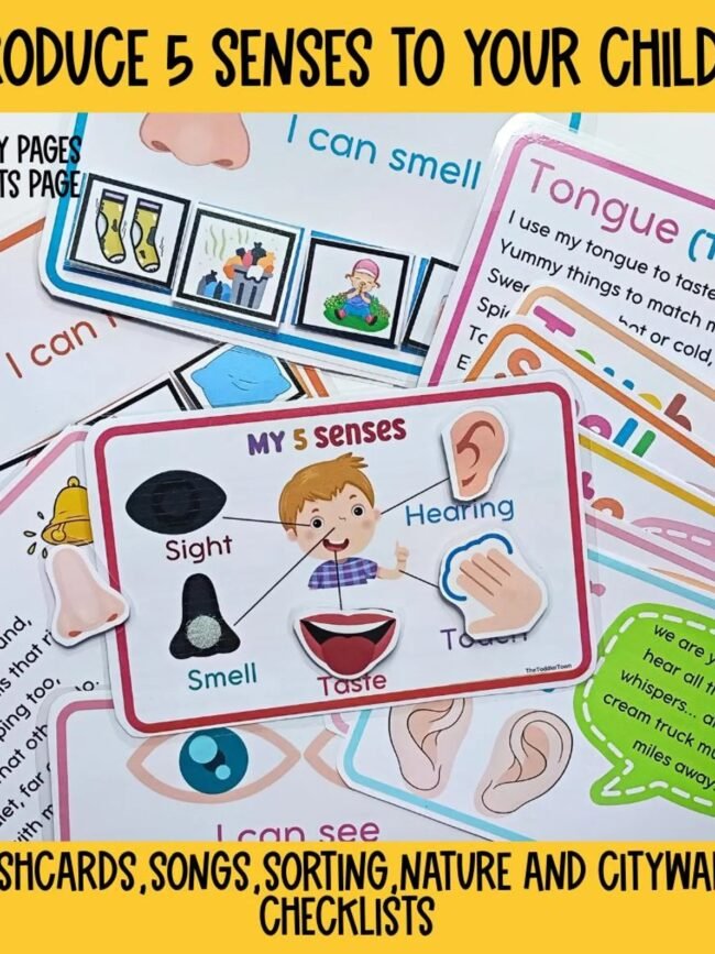 5 Senses Preschool Printable Bundle | Preschool Science Activities 5 Senses Preschool Printable Bundle | Preschool Science Activities